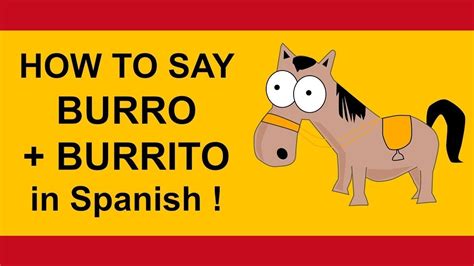 burro spanish to english|More.